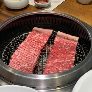 우설화 사진