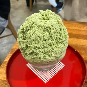 부빙 사진