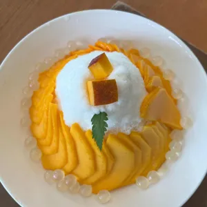 설월 사진