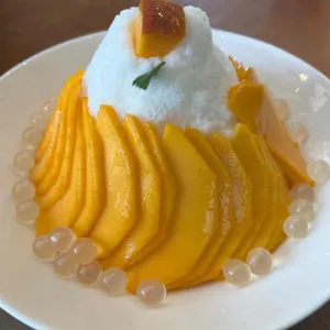 설월 사진