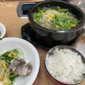 진고래 사진