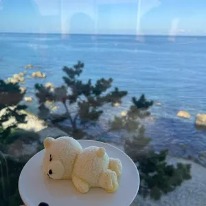 보움 사진