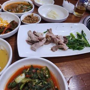 초목 사진