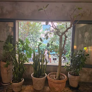 달마시안 리뷰 사진