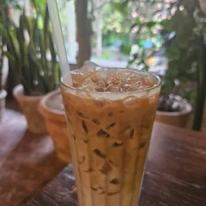 달마시안 사진
