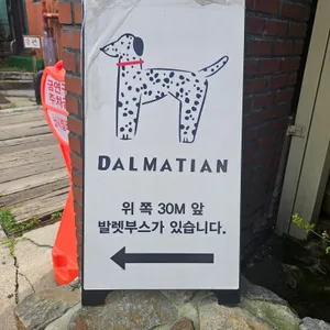 달마시안 리뷰 사진