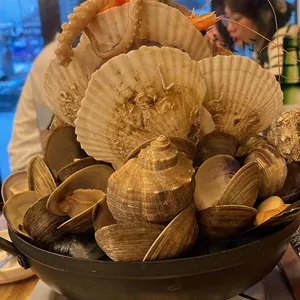 행운동조개 사진