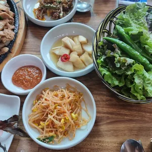 비자림 길 사진