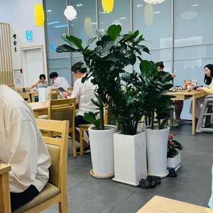 양산도  리뷰 사진