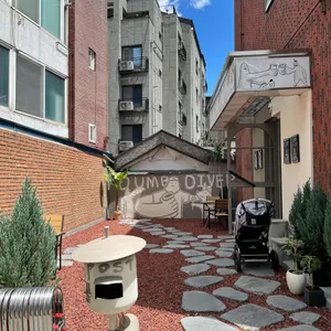 덤브다이버 리뷰 사진