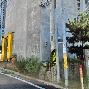 초당커피정미소  리뷰 사진