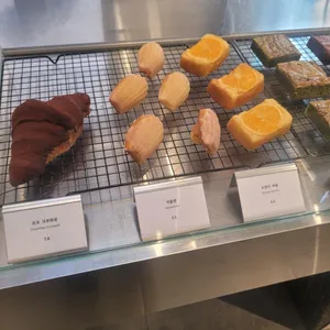 식물학 리뷰 사진