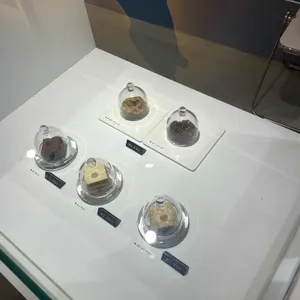 디싸이시브 모먼트 리뷰 사진