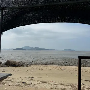 행운조개구이칼국수 리뷰 사진