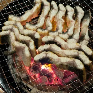 한담민물장어 사진