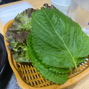 삼대족발 사진