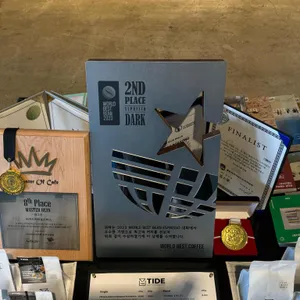 타이드 리뷰 사진