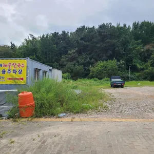고래해물칼국수 리뷰 사진