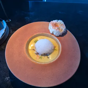 카니랩 사진