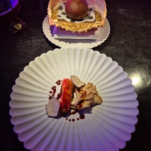 카니랩 사진