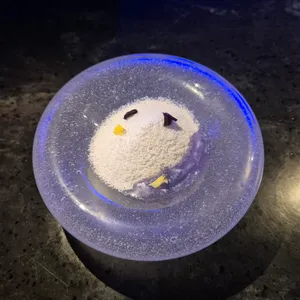카니랩 사진
