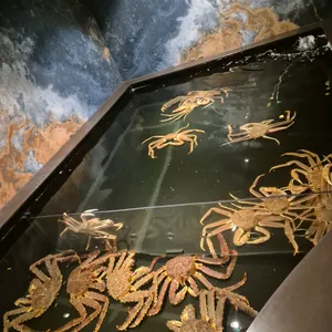 카니랩 리뷰 사진