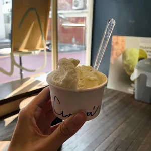 코타티 사진