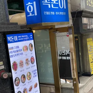 복돈이 막회 물회 육회 해산물 리뷰 사진