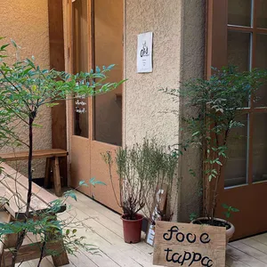 포브타파 사진 2