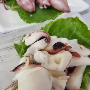 천북갯마을 사진