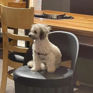 태형식당 리뷰 사진