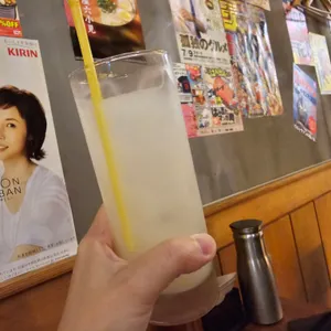 소라 사진
