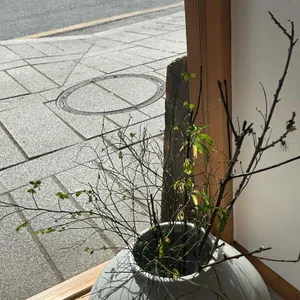 자이소 리뷰 사진