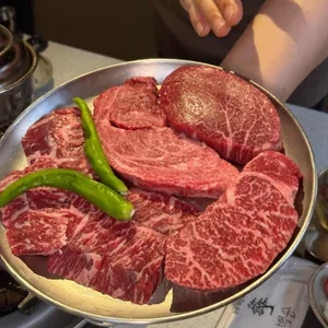 백송 사진