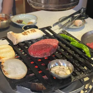 백송 사진