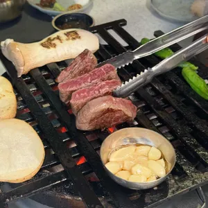 백송 사진