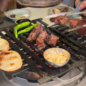 백송 사진