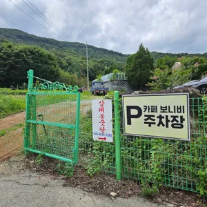 카페 보니비 리뷰 사진