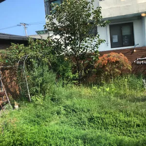 강릉역 옹막 리뷰 사진