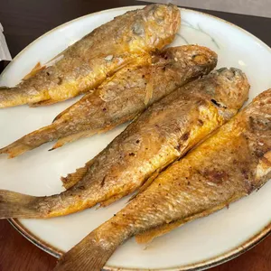 아리아랑 사진