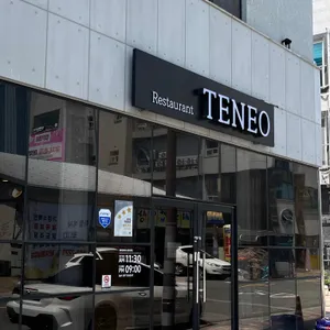 테네오 리뷰 사진