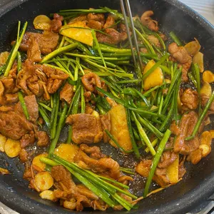 해조톳오리 사진