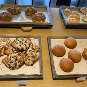 나무아래오후 사진