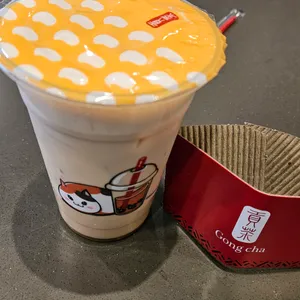 공차 사진