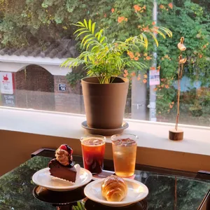 플란트 사진
