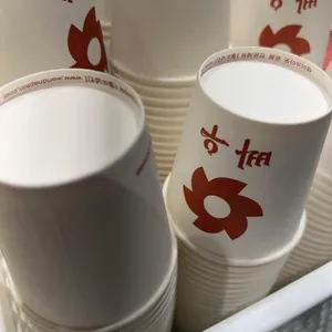 빠우 사진