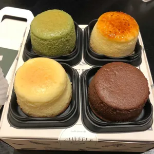 치플레 사진