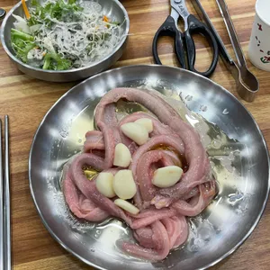 꼼돼지 사진