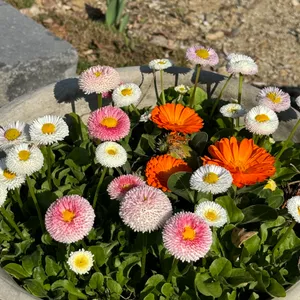 카페 트레져 리뷰 사진