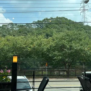 레반트 리뷰 사진